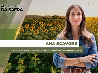 site Ana Scavone