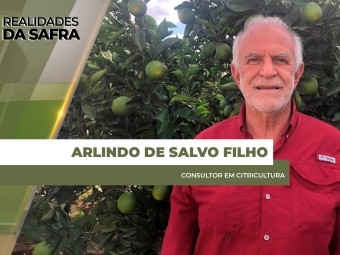 site Arlindo