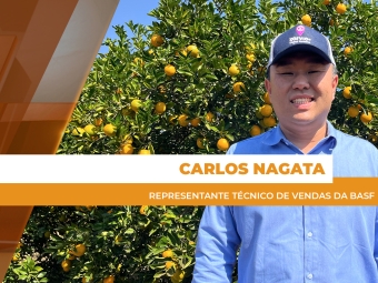 site Carlos Nagata