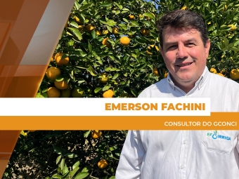 site Emerson
