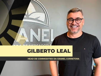 site Gilberto Leal