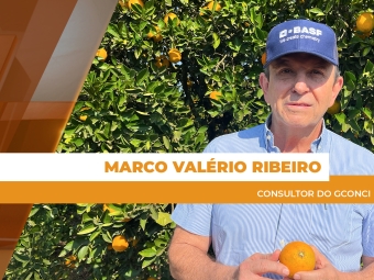 site Marco Valerio