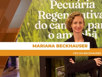 site Mariana Beckhauser
