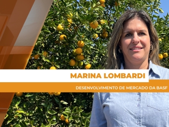 site Marina