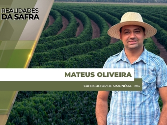 site Mateus