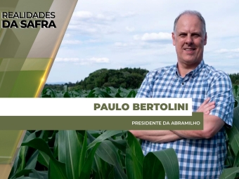 site Paulo