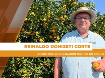 site Reinaldo