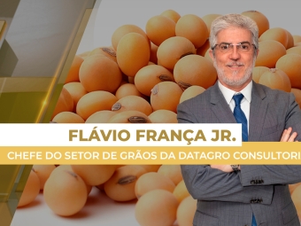 soja dia 05 site