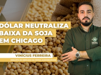 soja yt