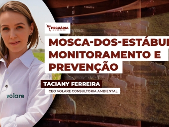 TACIANY