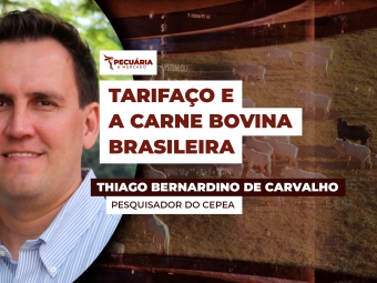 thiago-bernadino