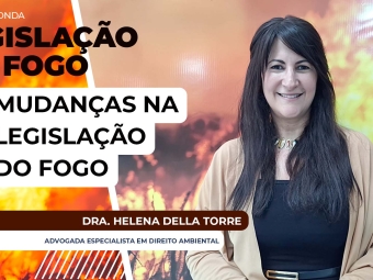 thumb Dra Helena