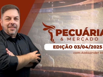 THUMB---ÍNTEGRA---PECUÁRIA-&-MERCADO