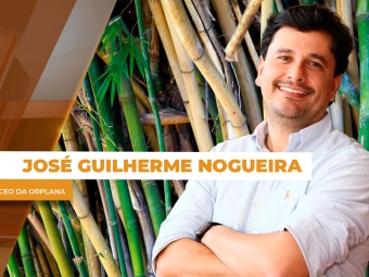 THUMB - José Guilherme Nogueira ST - DIA 25