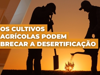 Thumb matéria João
