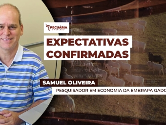THUMB PECUÁRIA & MERCADO - 002