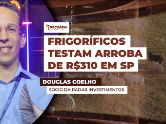 THUMB PECUÁRIA & MERCADO - DOUGLAS COELHO - MERCADO DO DIA 02-05