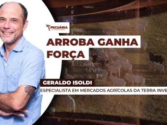 THUMB PECUÁRIA & MERCADO GERALDO