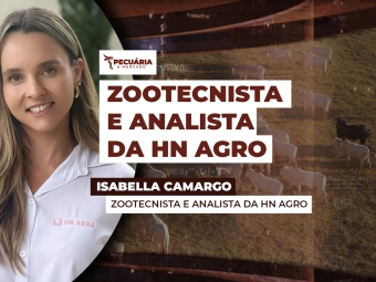 THUMB - PECUÁRIA & MERCADO - ISABELLA