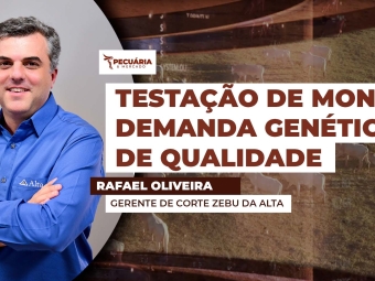 THUMB PECUÁRIA & MERCADO Rafael Oliveira - Gerente de Corte Zebu da Alta