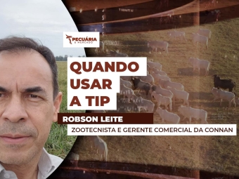THUMB PECUÁRIA & MERCADO rodson leite