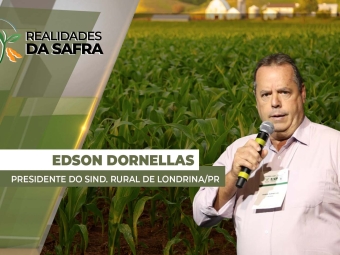THUMB_REALIDADES_2025_ EDSON SITE