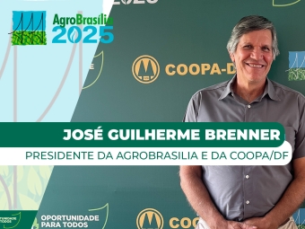 Thumb site - presidente