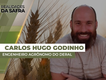 THUMBS - RDS 2 carlos