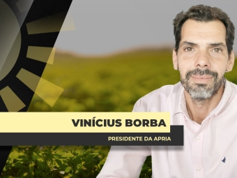 THUMBS - SITE - BDA - BORBA