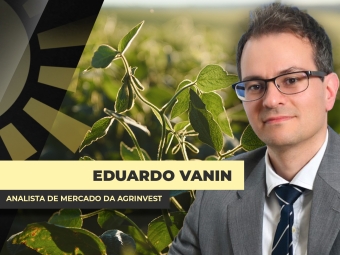 THUMBS - SITE - BDA - eduardo