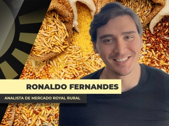 THUMBS - SITE - BDA - eduardo fernandes@0,75x