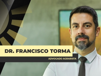 THUMBS - SITE - BDA - FRANCISCO THORMA