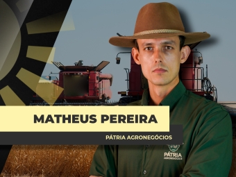 THUMBS - SITE - BDA - MATHEUS