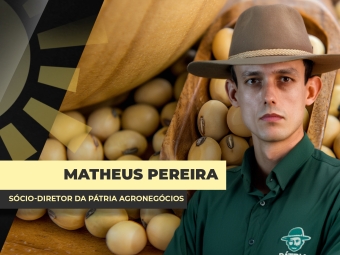THUMBS - SITE - BDA - matheus
