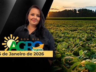 THUMBS - SITE - BDA