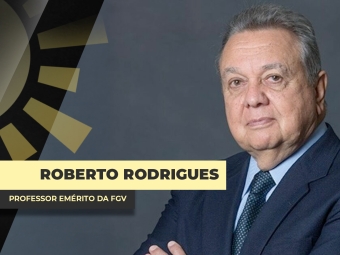 THUMBS - SITE - BDA - roberto