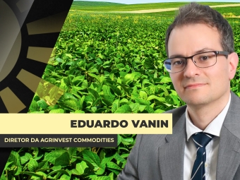 THUMBS - SITE - BDA - VANIN