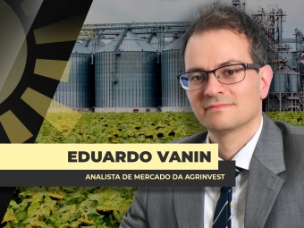 THUMBS - SITE - BDA - VANIN