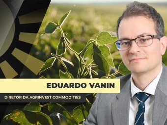 THUMBS - SITE - BDA - vanin@0,75x