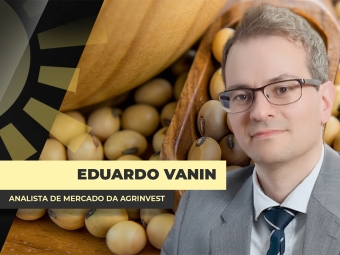 THUMBS - SITE - BDA - vanin@0,75x