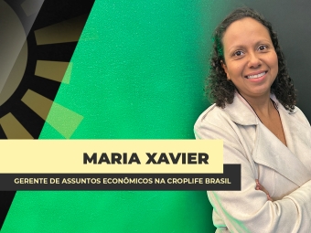 THUMBS - SITE - CORTE - BDA - MARIA