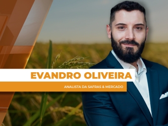THUMBS - SITE - GNR - evandro