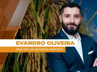 THUMBS - SITE - GNR - EVANDRO OLIVEIRA