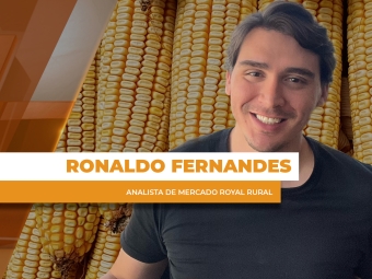 THUMBS - SITE - GNR - ronaldo