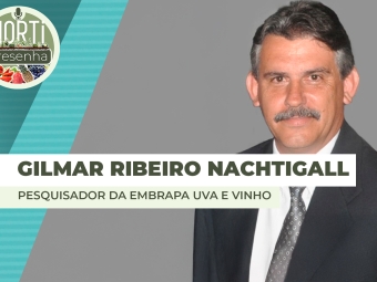 THUMBS - SITE - PDC - gilmar