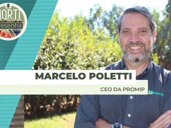 THUMBS - SITE - PDC - MARCELO