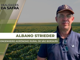 THUMBS - SITE - RLD - albano