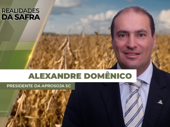 THUMBS - SITE - RLD - ALEXANDRE