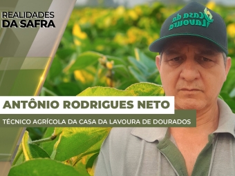 THUMBS - SITE - RLD - antonio