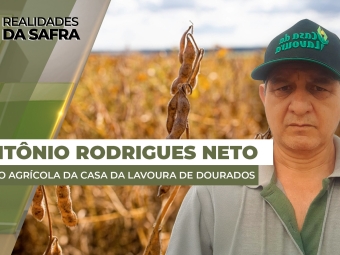THUMBS - SITE - RLD - ANTONIO - NETO